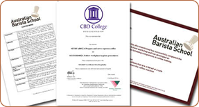 ABS Certificate